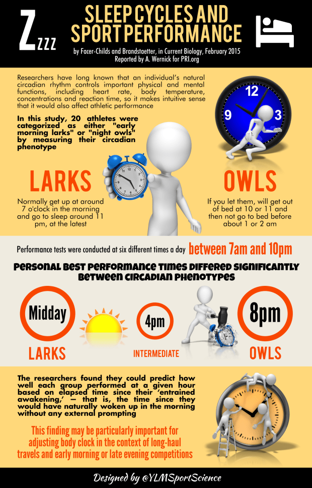 Sleep cycles & Perf.png