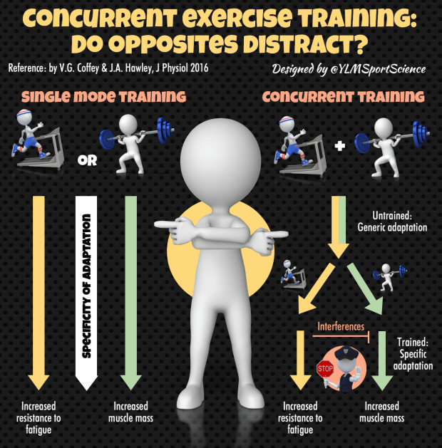 concurrent-training-bis