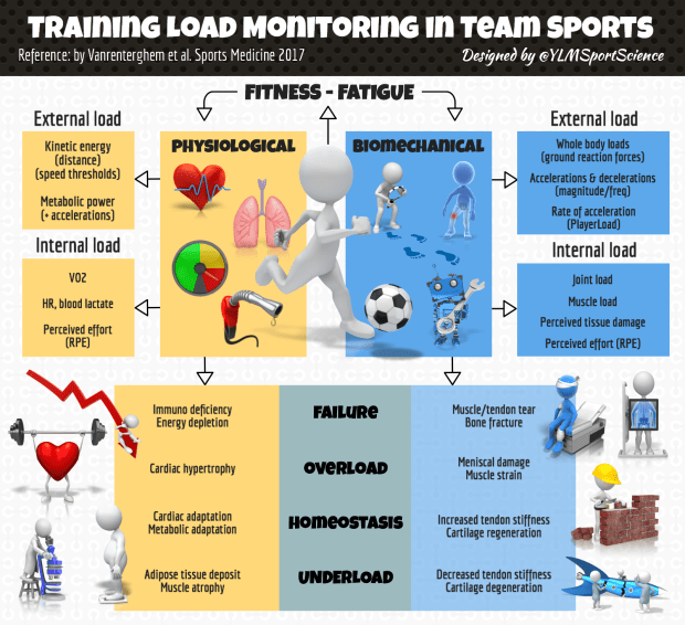 Training Monitoring Team Sports.png