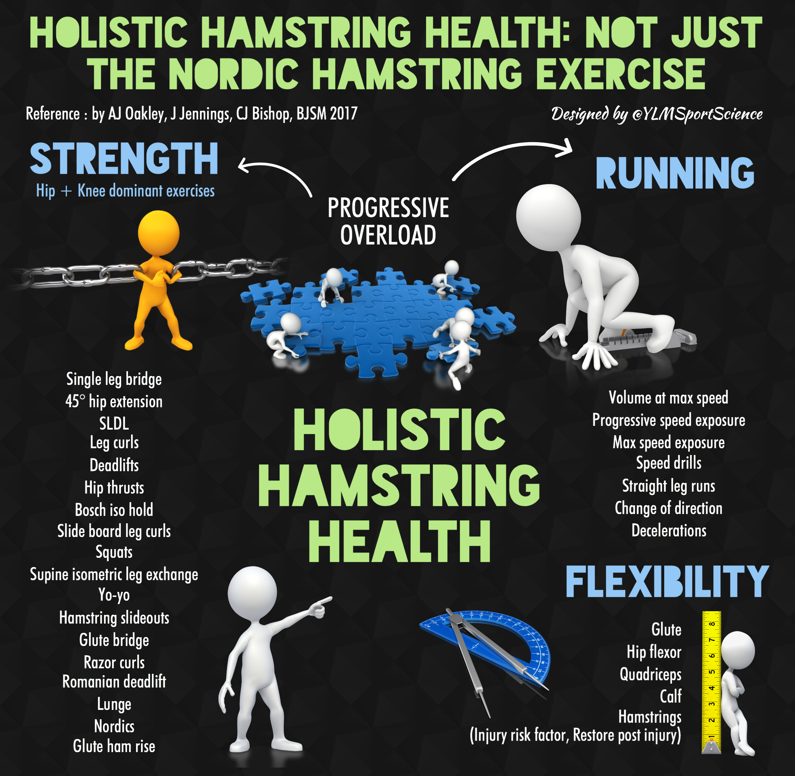 Hamstring Health BJSM.png