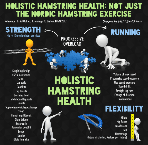 Hamstring Health BJSM.png
