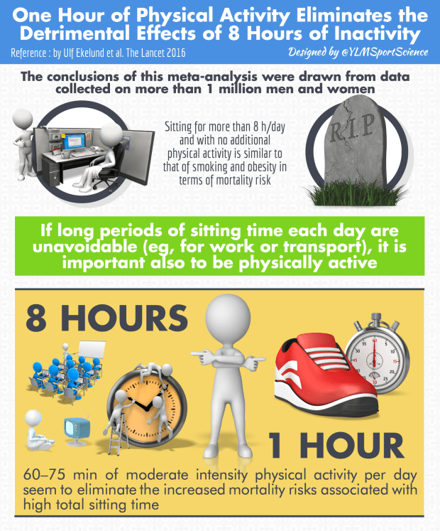 Sitting Exercise Health.png