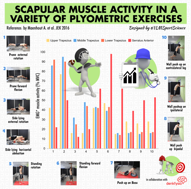 Shoulder exercises.png