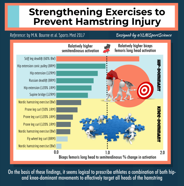 #609.Hamstring exercises BFlh ST.png