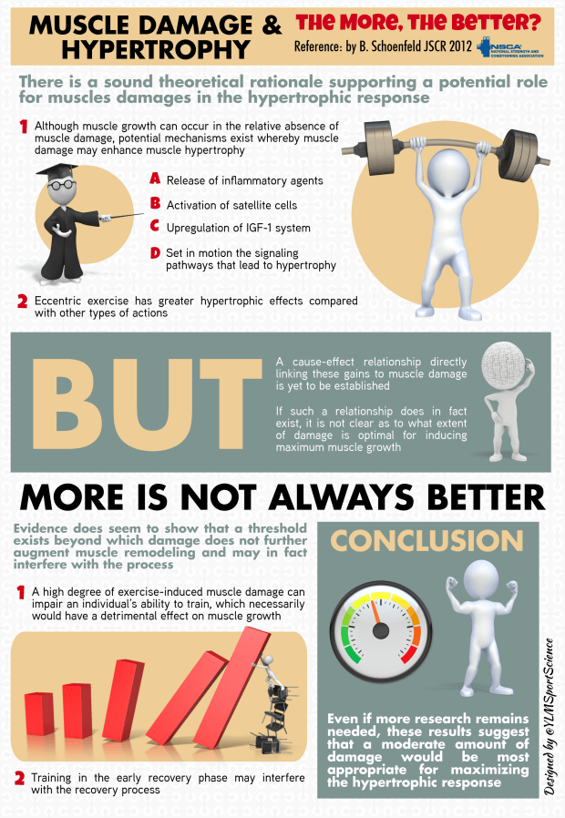 613.EIMD Hypertrophy.png