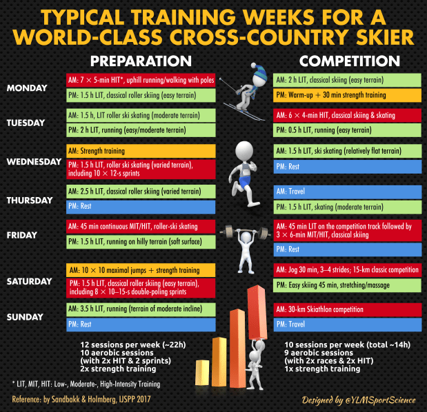 #637.XC Skiing Training.png