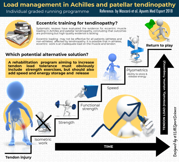 #656.Tendinopathy Rehab