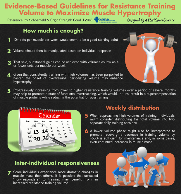 650.RT Volume Hypertrophy.png