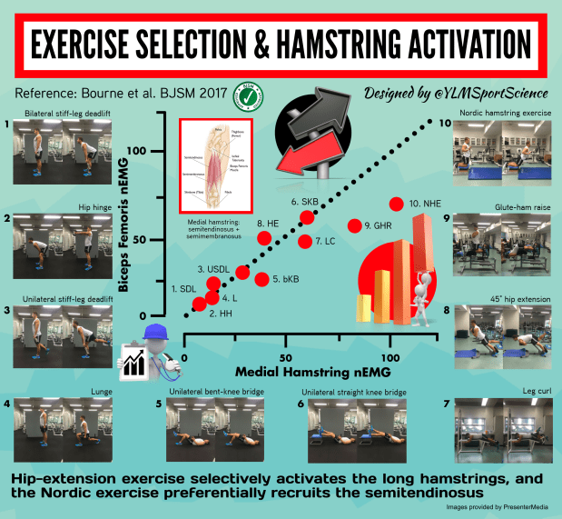 671.Hamstring activation.png